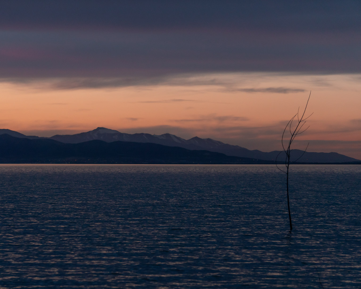 A lone sapling stands in dark blue water, in front of dark blue mountains and dusky orange skies, above dark clouds are lit purple